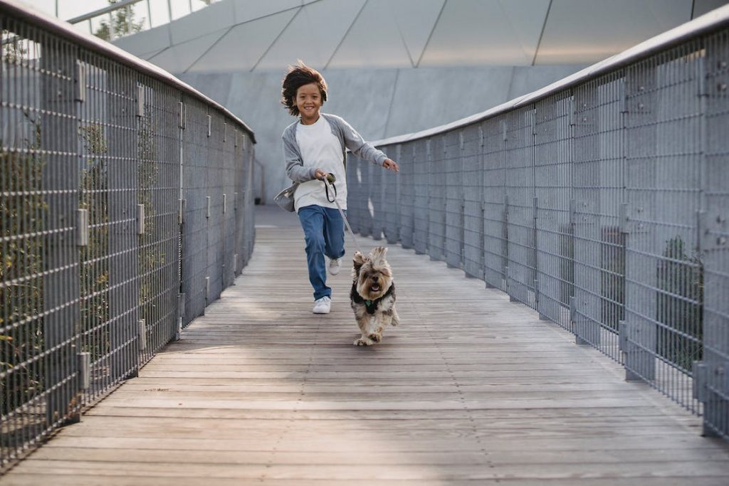 Pets 101: How to Teach Your Children to Take Care of Pets