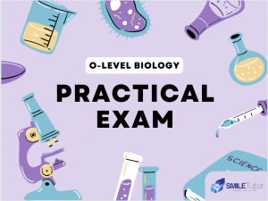 O Level Biology Practical