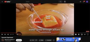 Osmosis Potato Experiment Video demonstration ( Manocha Academy ) 